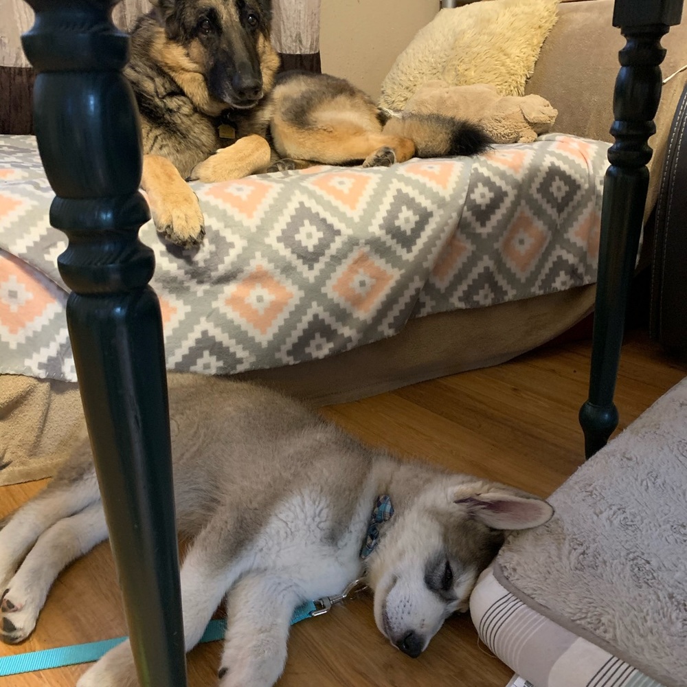 Meet your Posher, Kylie